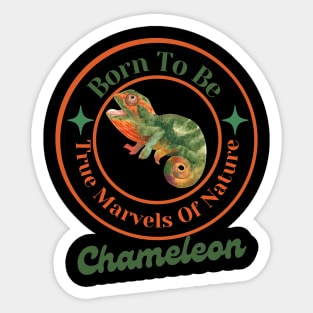 Born To Be True Marvels of Nature - Chameleon Sticker